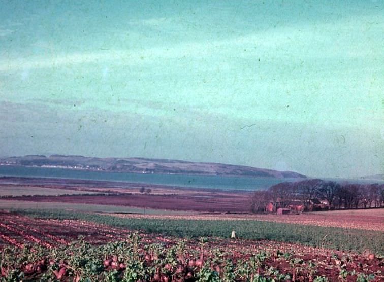 Fences Farm in 1950s
