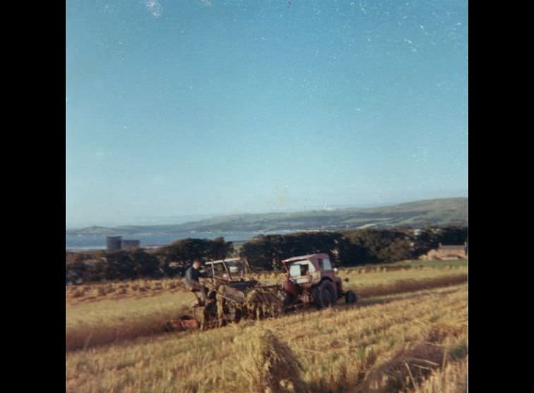 Harvesting Hay at Goldenberry in 1960s