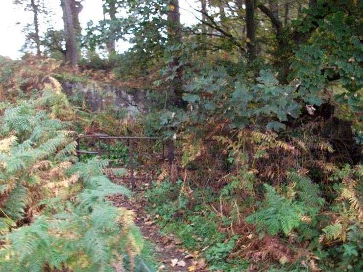 Wide angle of Kissing Gate in 2010