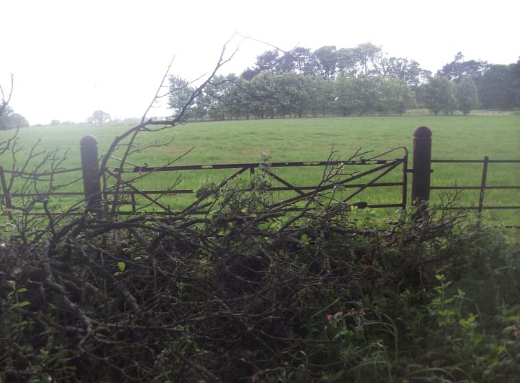 Old Field Gate next to Largs Avenue