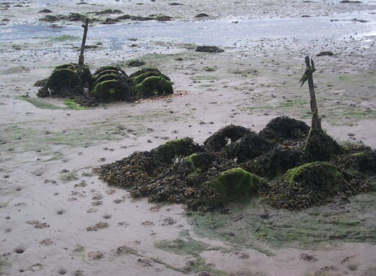 Old rail wheels from the former direct reduction yard abandoned on the shore
